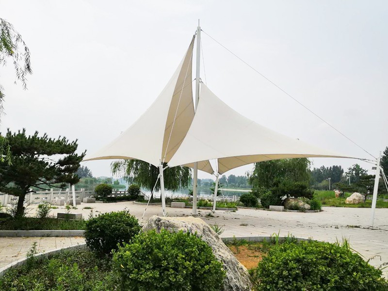案例展示